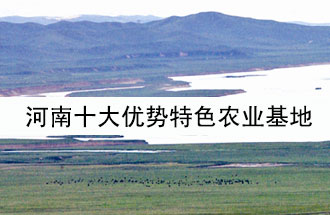 8月19日，河南省政府發(fā)布了關于深入推進農業(yè)供給側結構性改革 大力發(fā)展優(yōu)勢特色農業(yè)的意見