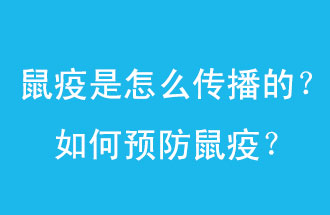 鼠疫是怎么傳播的？如何預(yù)防鼠疫？
